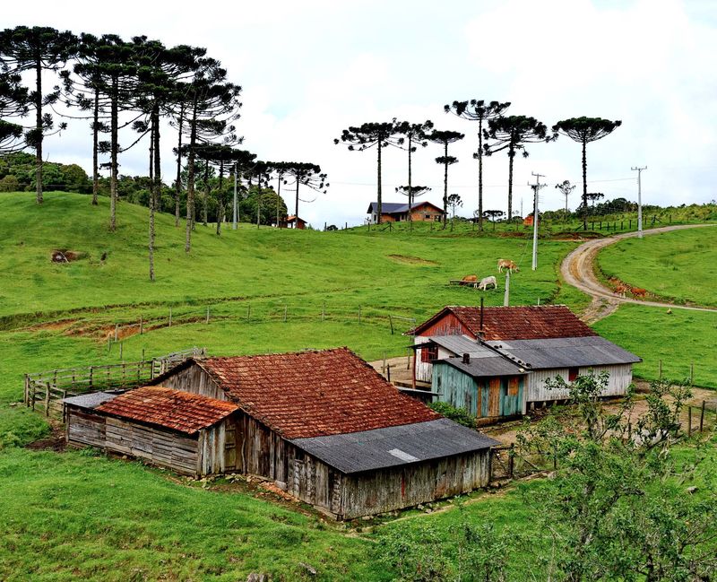 Near the Lago Negro condominium.