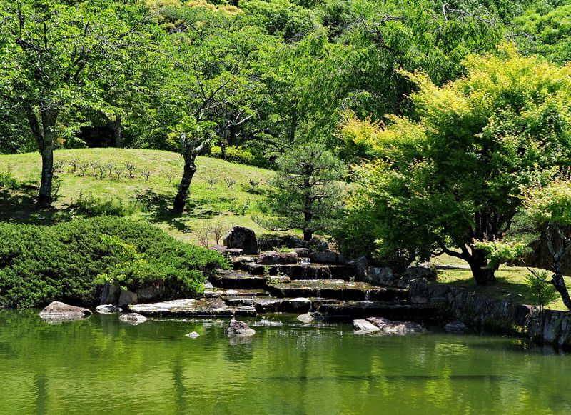 Kyoto; a Japanese garden in the conference venue. 