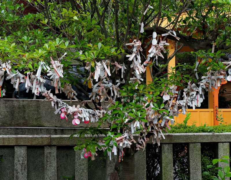 Kyoto; Sugawara-in Tenmangu-jinja Shrine; the small pieces of paper are personal wishes.