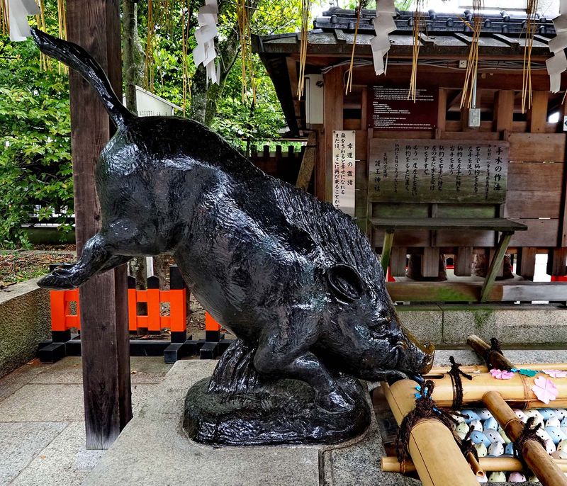 Kyoto; the Go- Shrine; the wild-boar (pig) seems to have an important role in this shrine.