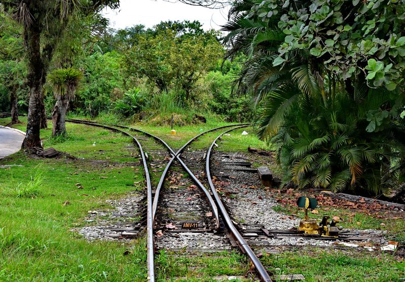 Morretes; desactivated train tracks.