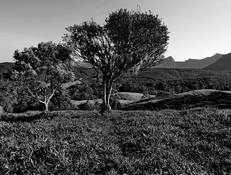 Typical scenery at this area. 