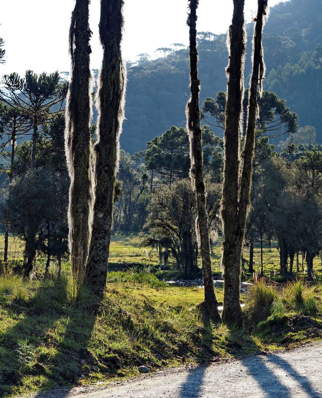 Rio Canoas area. 