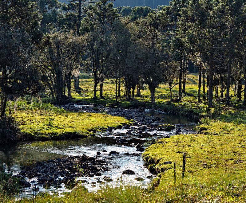 Canoas river, near Urubici 