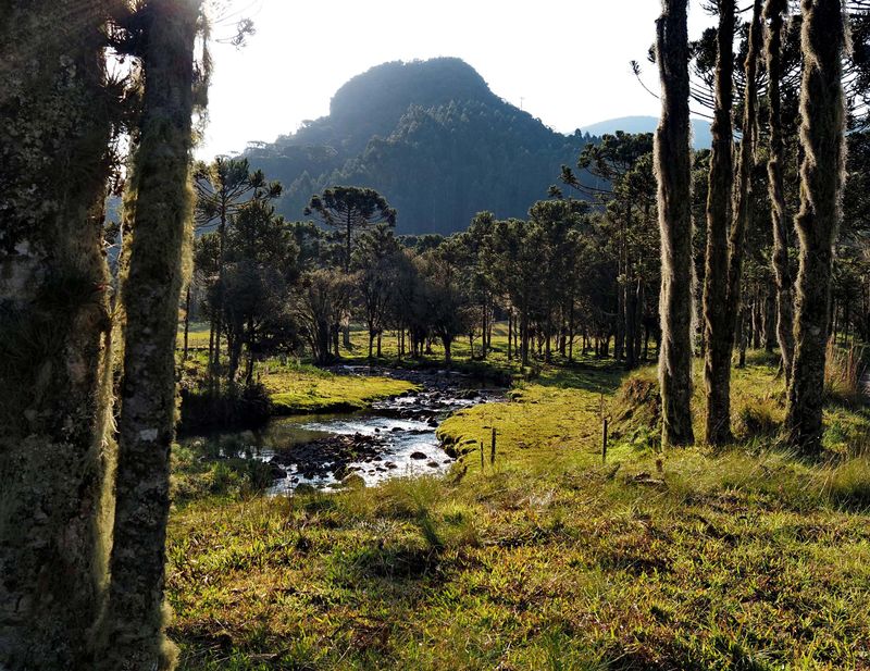 Rio Canoas. 