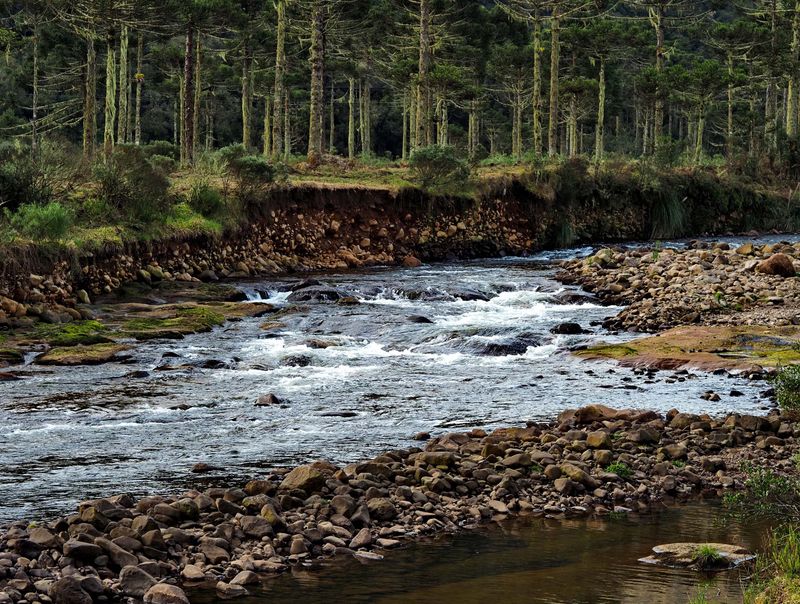 Rio Canoas.
