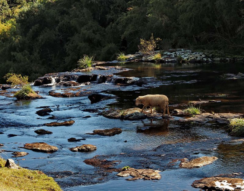 River near Bom Jesus da Serra, next a well known churrascaria restaurant. 