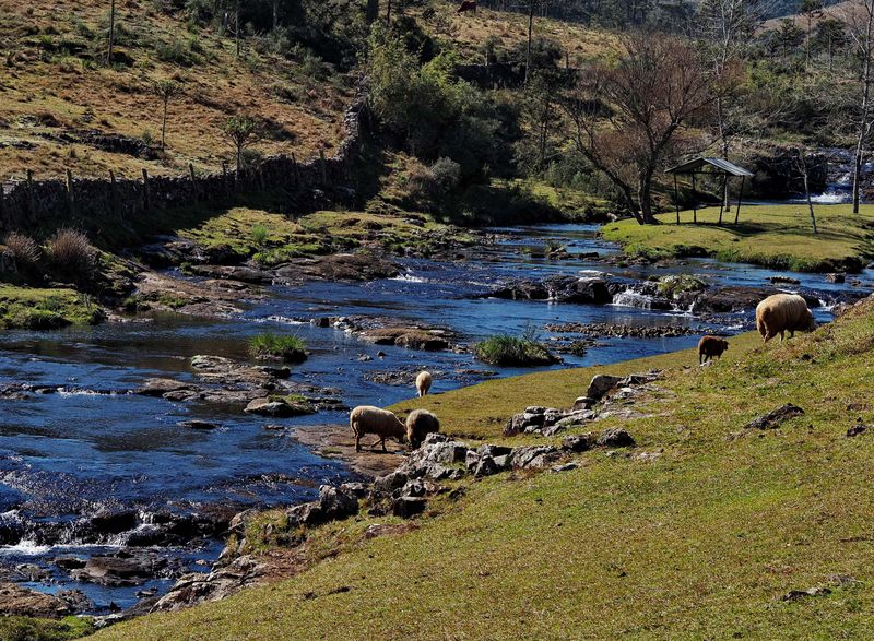 River near Bom Jesus da Serra.