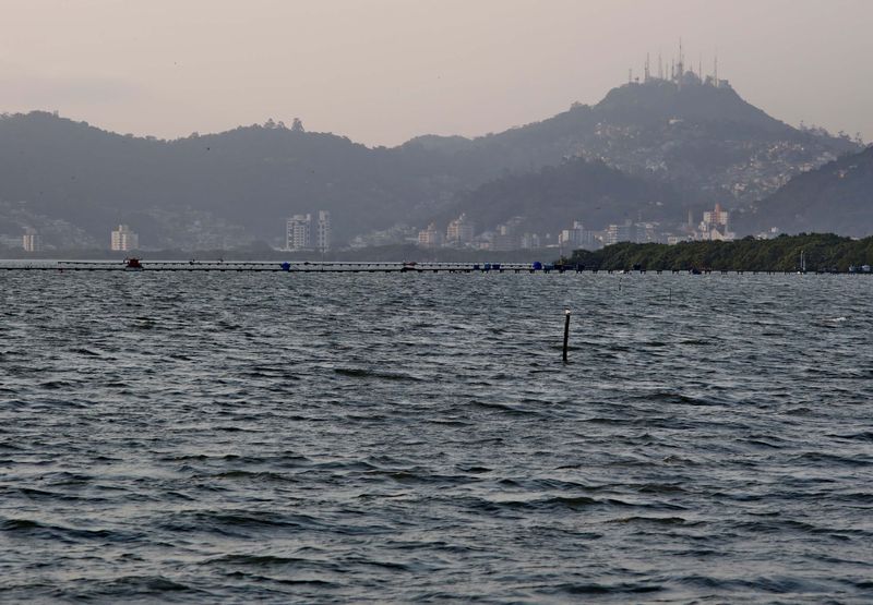 Praia da Costeira do Pirajubaé (2024).