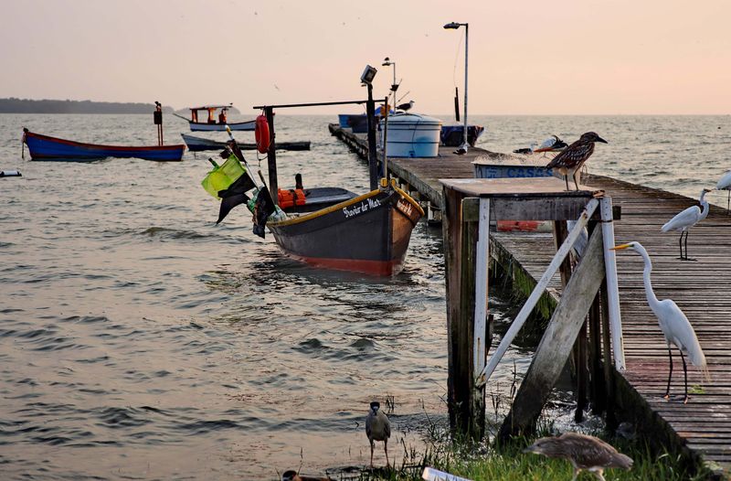 Praia da Costeira do Pirajubaé (2024).