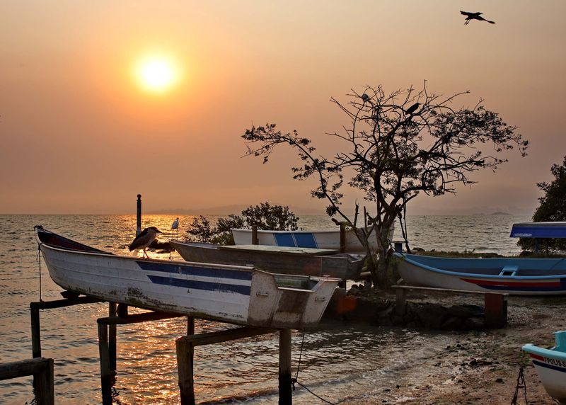 Praia da Costeira do Pirajubaé (2024).
