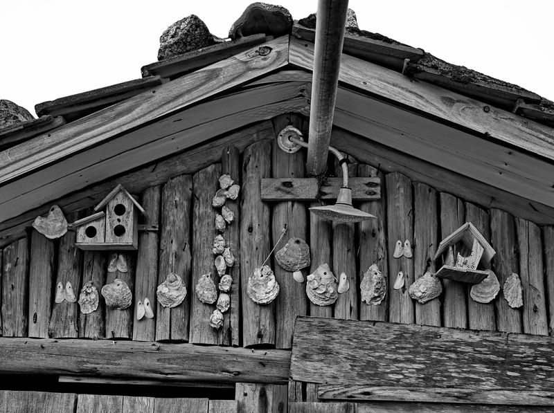 Ranchos de Canoas, Boats and Birds at Costeira de Pirajubaé (2021 and revisted in 2024)