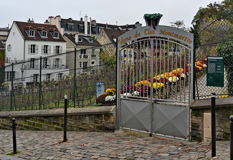 Wine was (and still is) produced in Montmartre.
