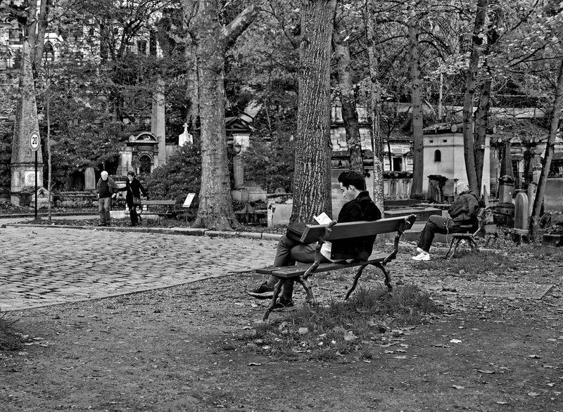 The Pre Lachaise cemetery; also, a peaceful place to rest. 