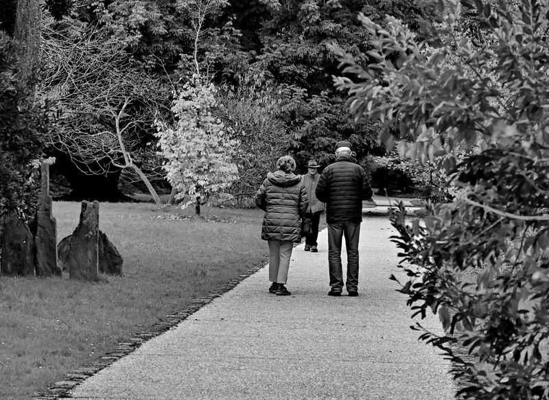 At the Arboretum of Chtenay Malabry (2024). 
