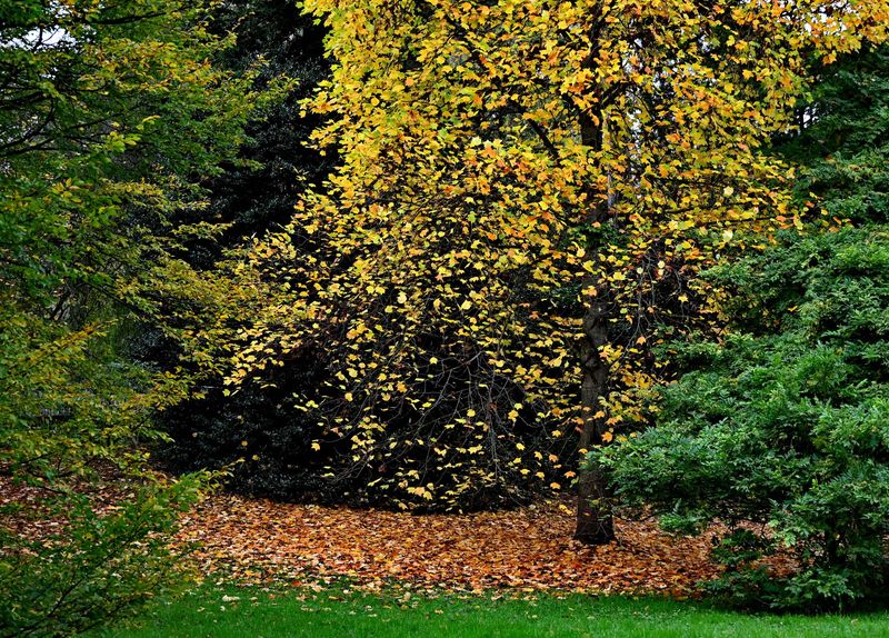 At the Arboretum of Chtenay Malabry (2024). 