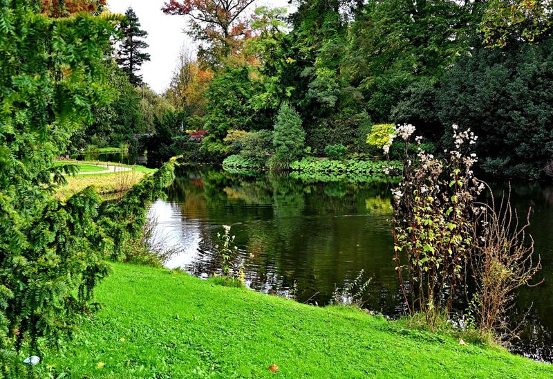 At the Arboretum of Chtenay Malabry (2024). 