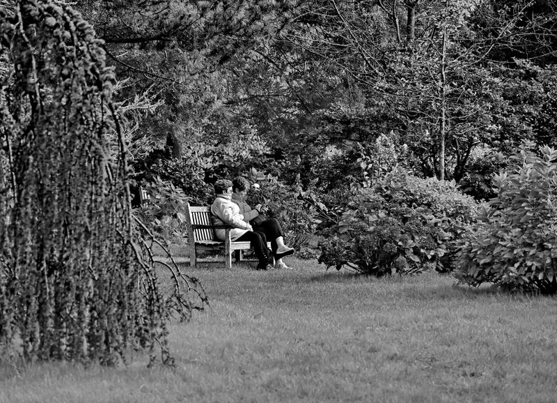 At the Arboretum of Chtenay Malabry (2024). 
