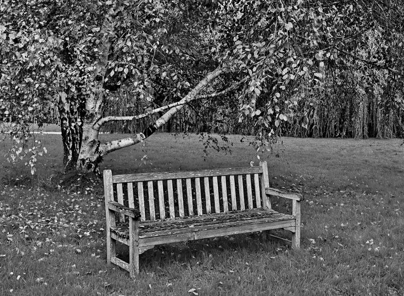 At the Arboretum of Chtenay Malabry (2024). 