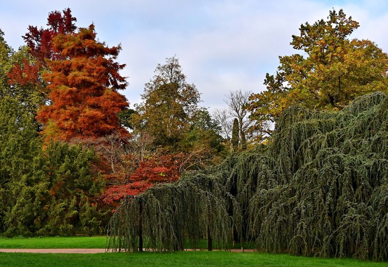 At the Arboretum of Chtenay Malabry (2024). 