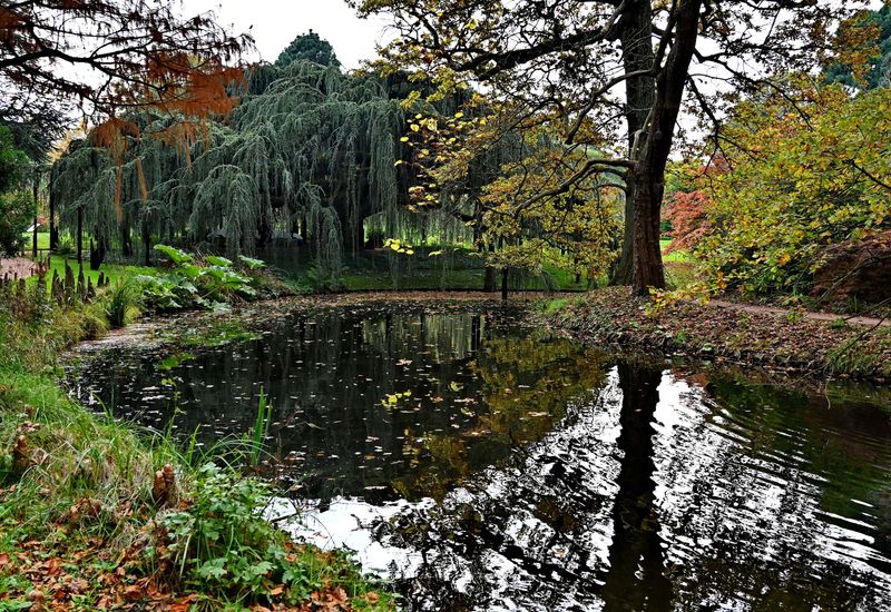 At the Arboretum of Chtenay Malabry (2024). 