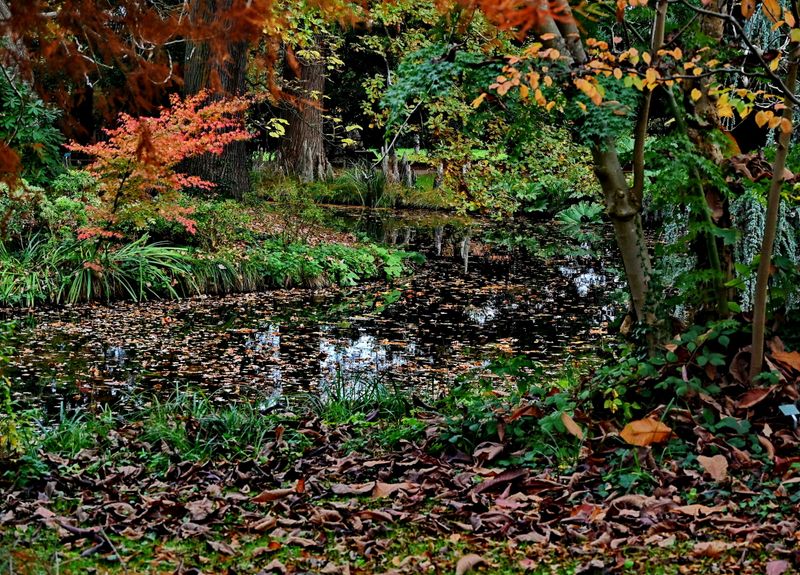 At the Arboretum of Chtenay Malabry (2024). 