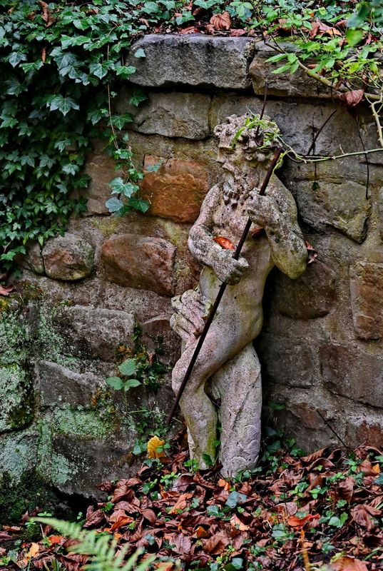 Near Fahd's house: Arboretum of Chatenay Malabry (November 2017; revisited 2024)