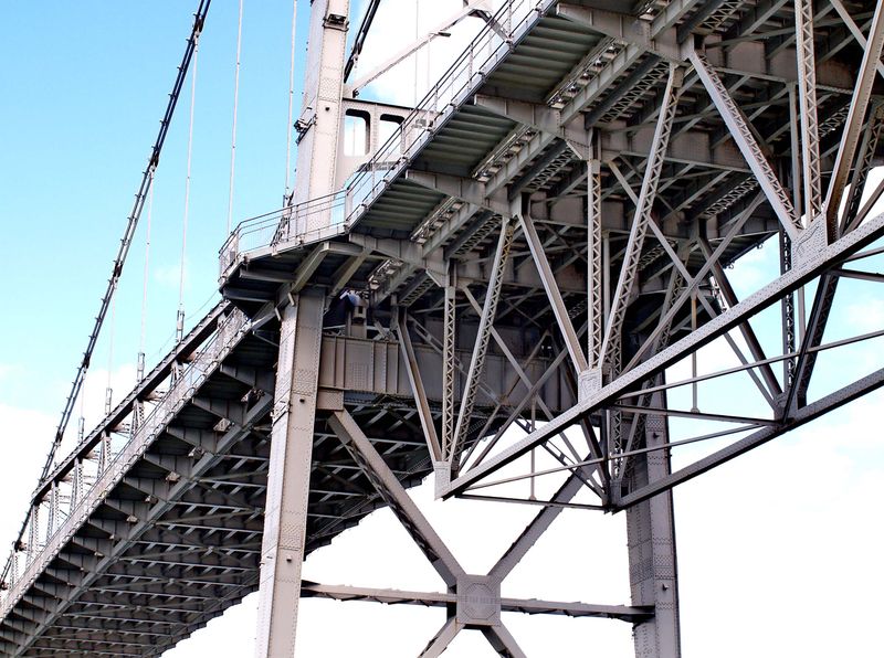 Olympus E-330; detail of the Herclio Luz bridge.