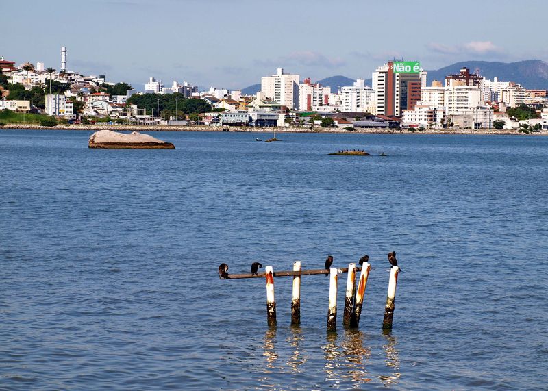 Olympus E-330; the Beira-Mar avenue.