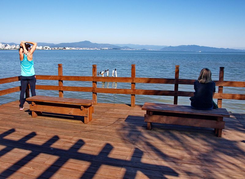 Olympus E-330; the Beira-Mar avenue.