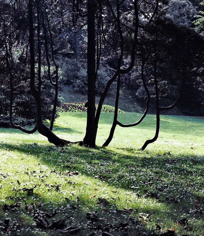 Parc Montsouris, Paris. 
