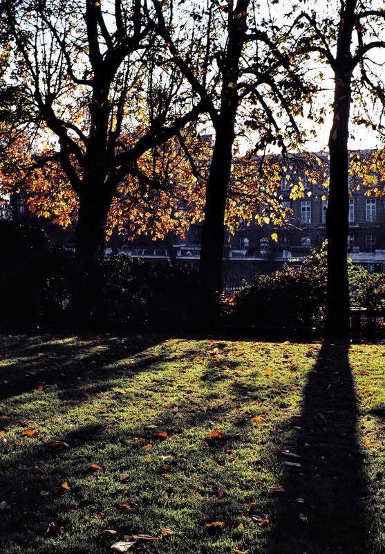 Parc Montsouris, Cit Universitaire, Paris. 