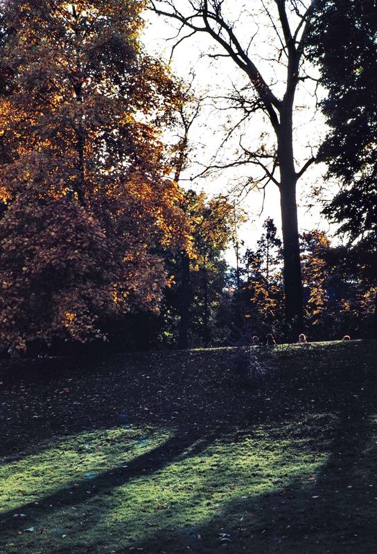 Parc Montsouris, Paris. 
