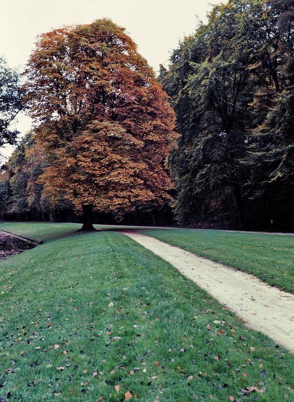Chateau de Versailles' garden. 