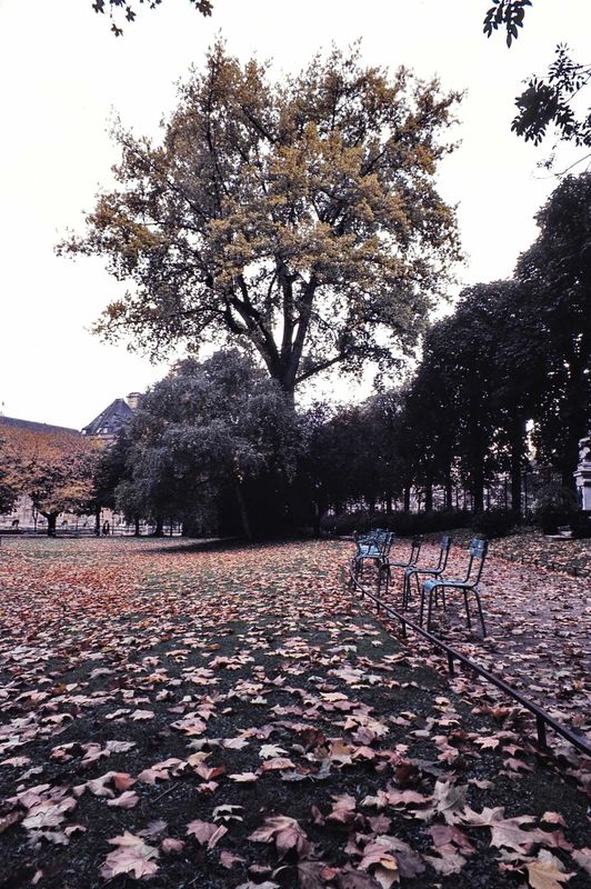 Jardin du Luxembourg, Paris. 