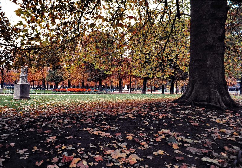 Jardin du Luxembourg, Paris. 