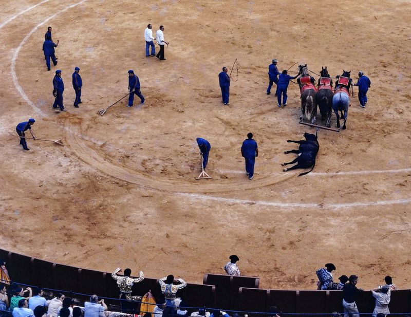 Sad moment in the bullfighting; in 1977 it was still popular. 