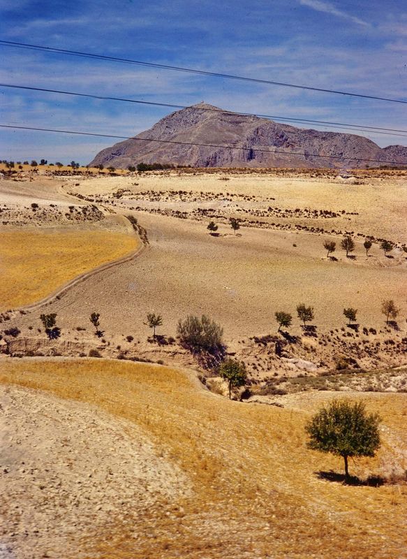 Picture taken from the train. 
