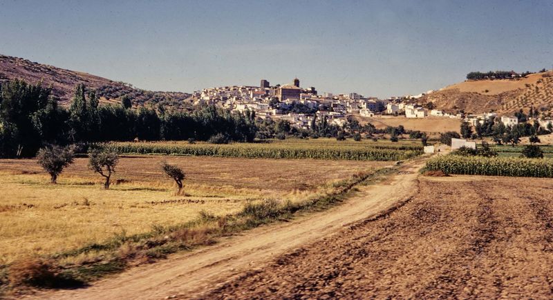 Picture taken from the train. 