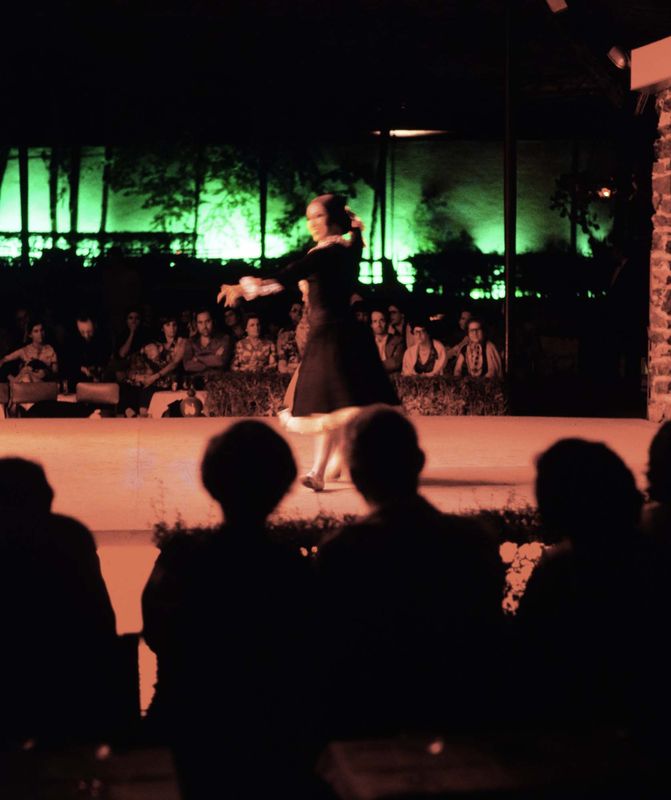 Granada; flamenco dance (sorry, the picture is bad).