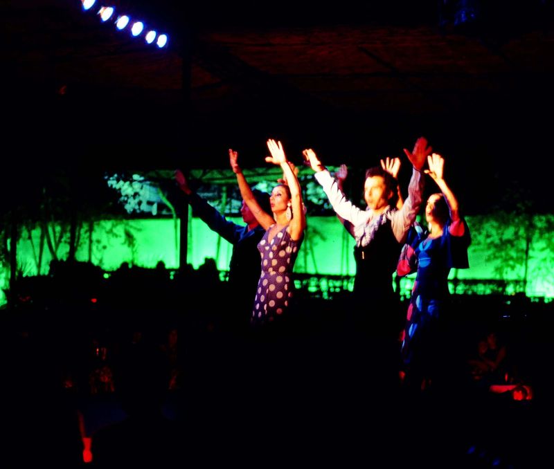 Granada; flamenco dance (just for memory; sorry, the picture is bad).