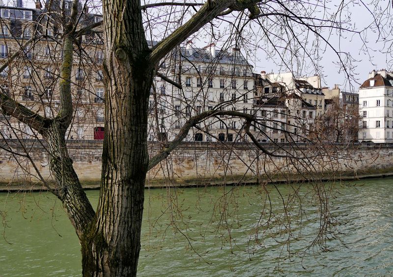 View on the Île de la Cité.