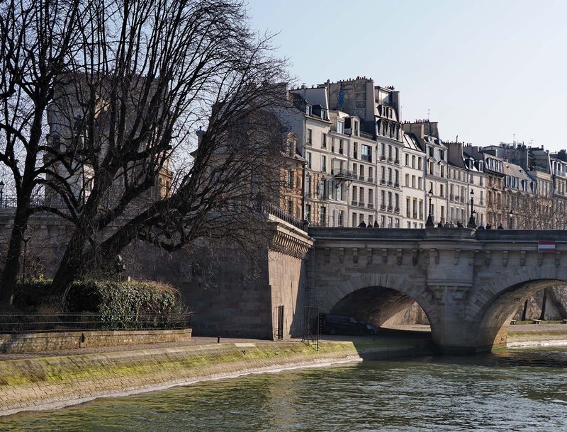 Bateau Mouche tour: le de la Cit. 