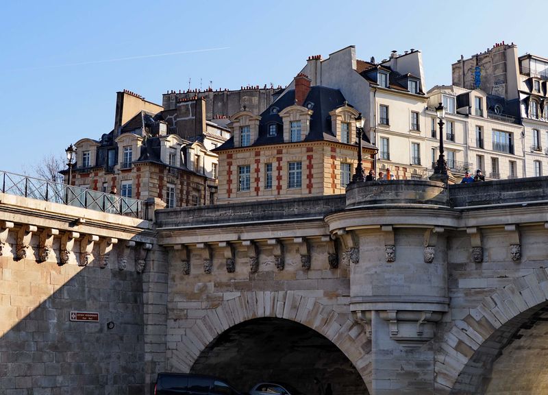 Bateau Mouche tour: le de la Cit, le Pont Neuf. 