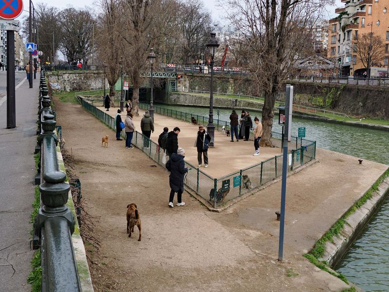 Canal Saint-Martin: dogs can also visit the canal. 