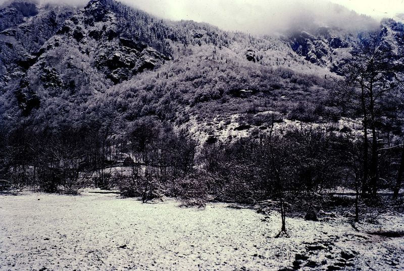 Pyrenees