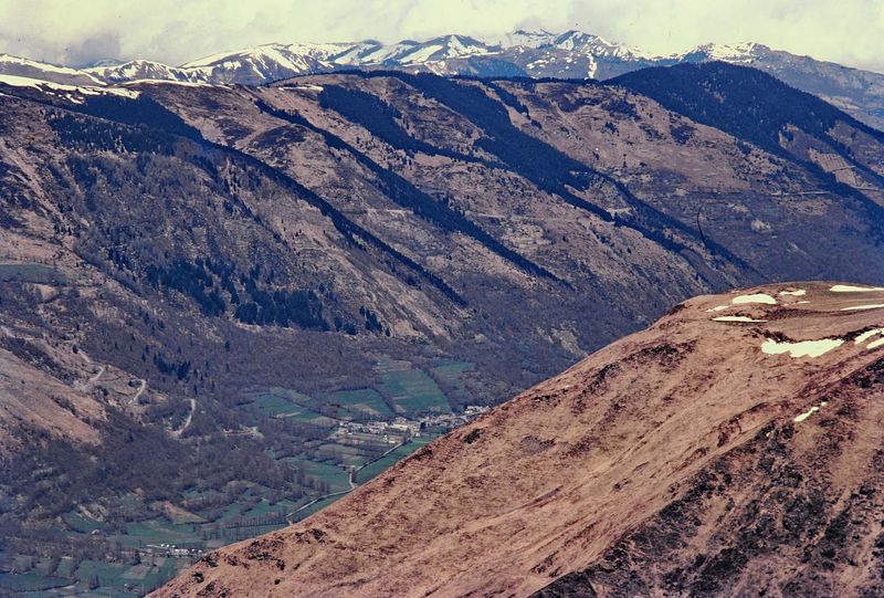 Pyrenees