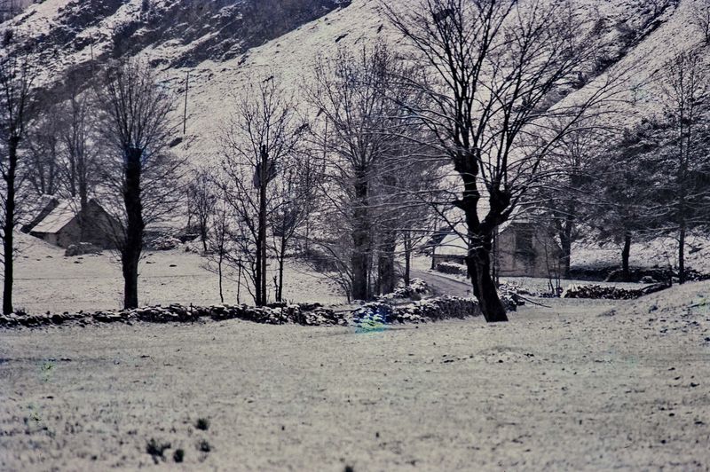 Pyrenees