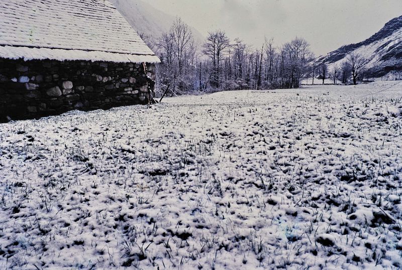 Pyrenees