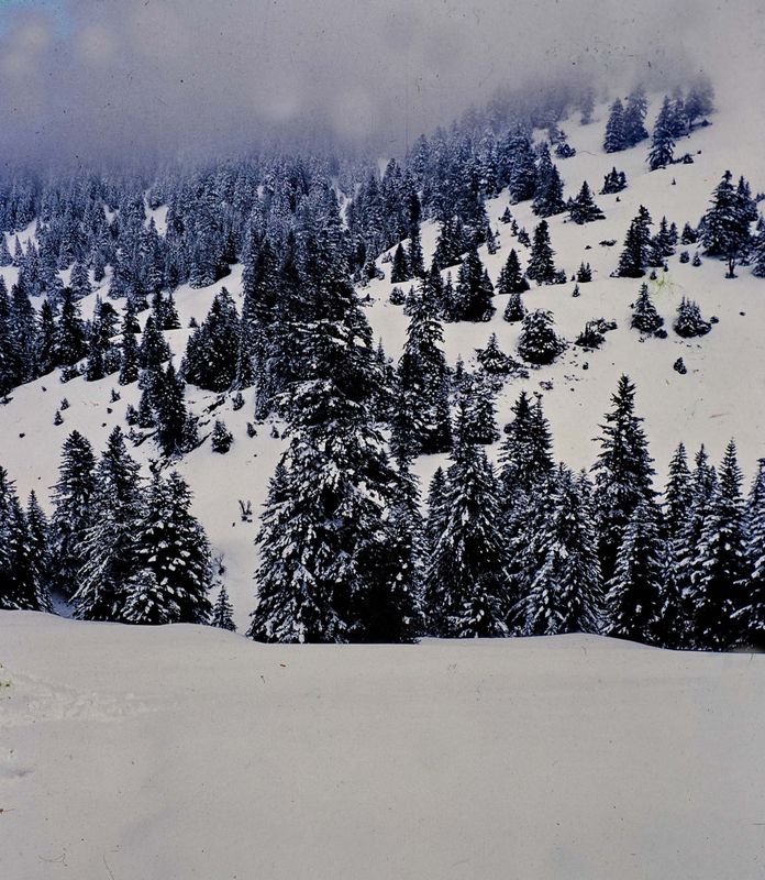 Pyrenees